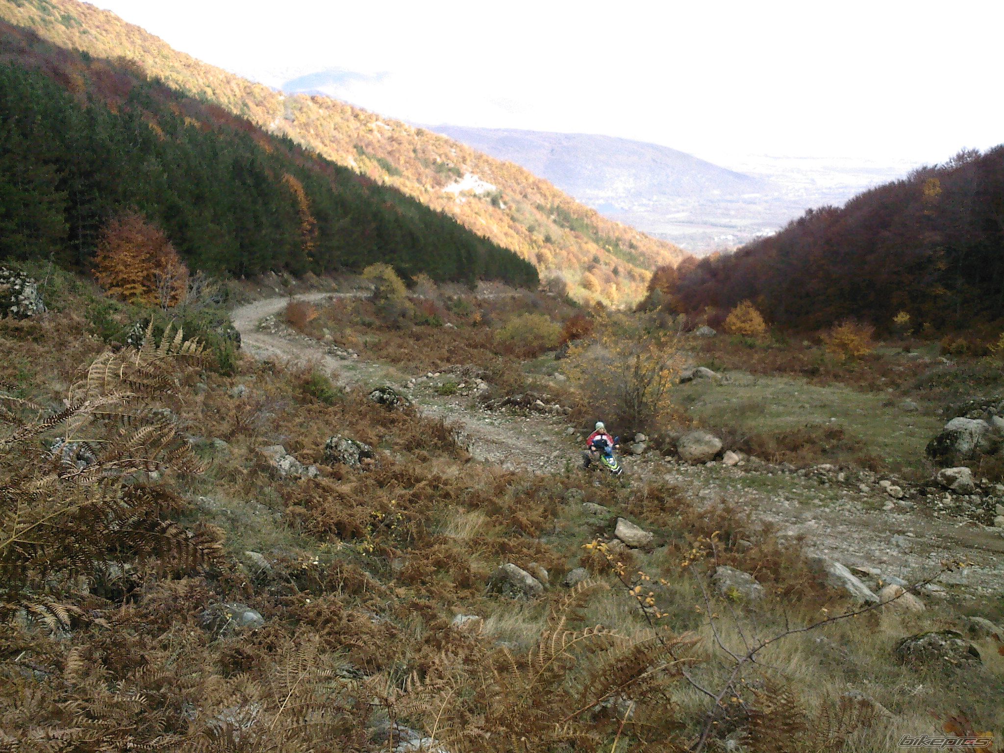 Bike Photo 1090756