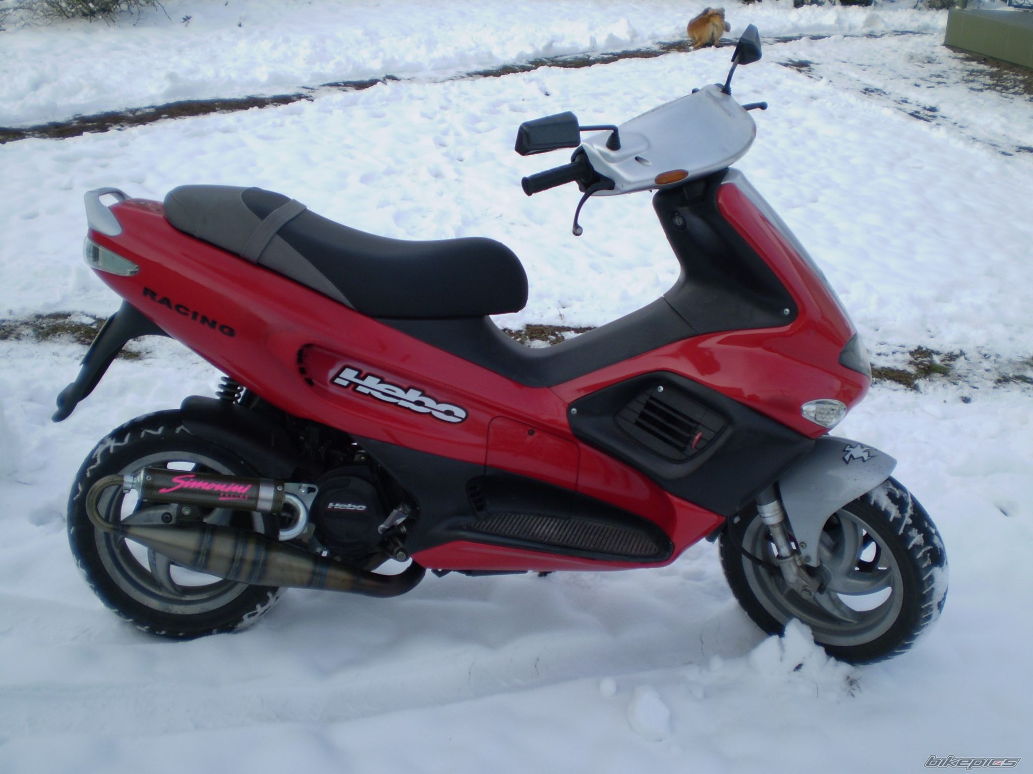 Photo 1090782