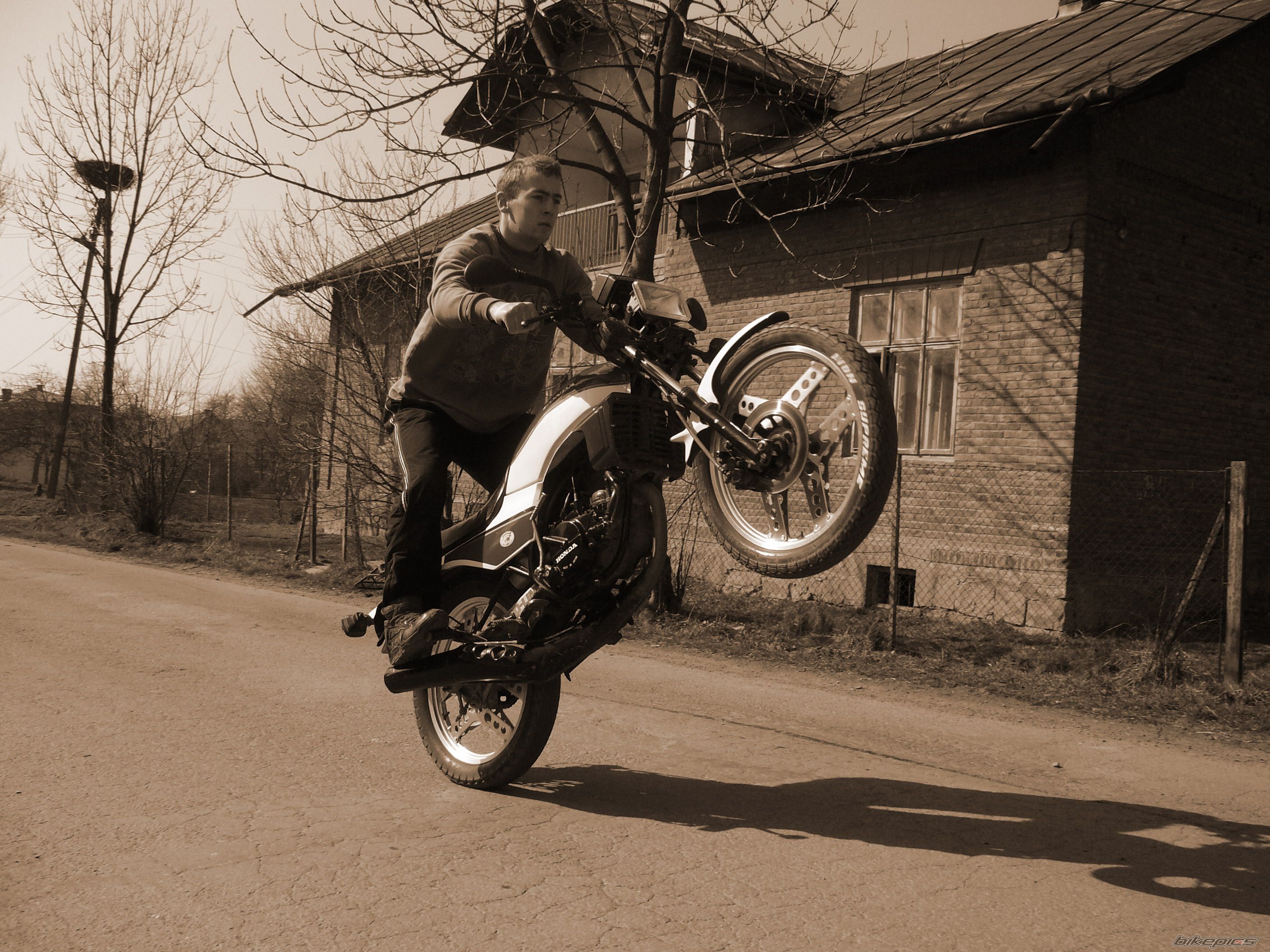 Photo 1090850