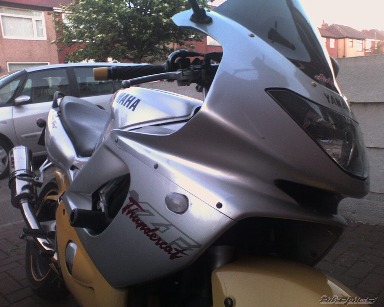 Photo 1091385