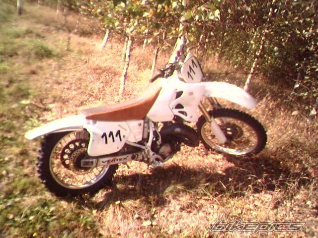 Photo 1091419