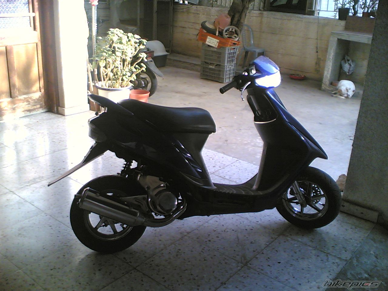 Photo 1091429
