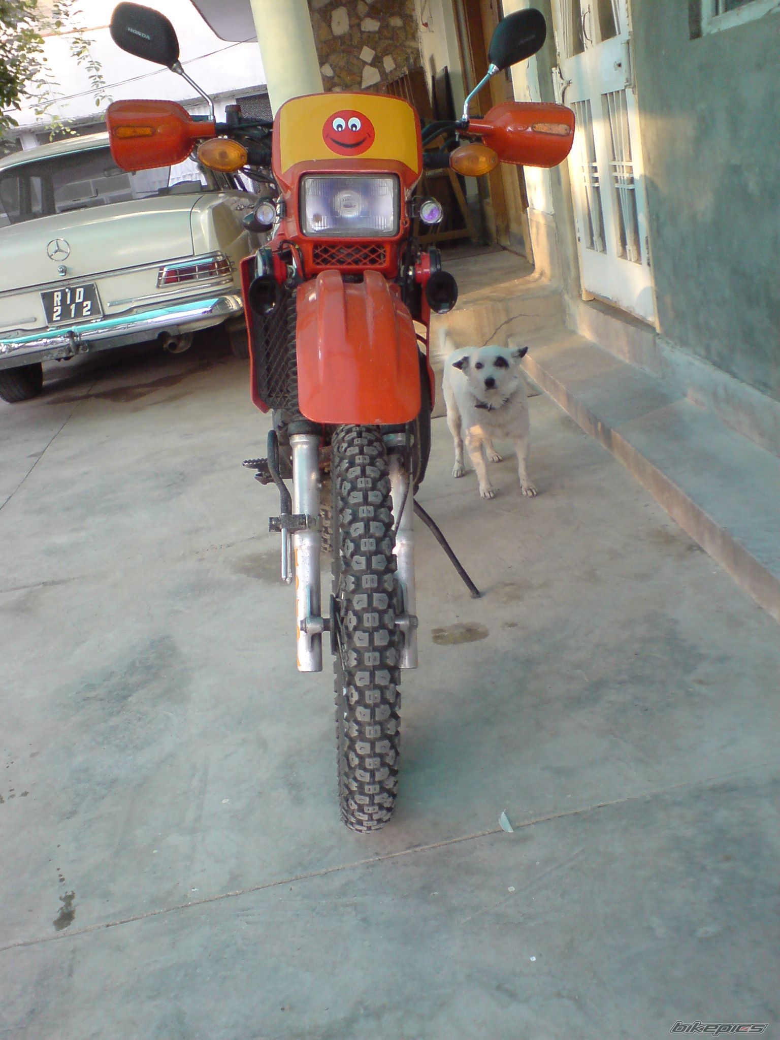 Photo 1091451