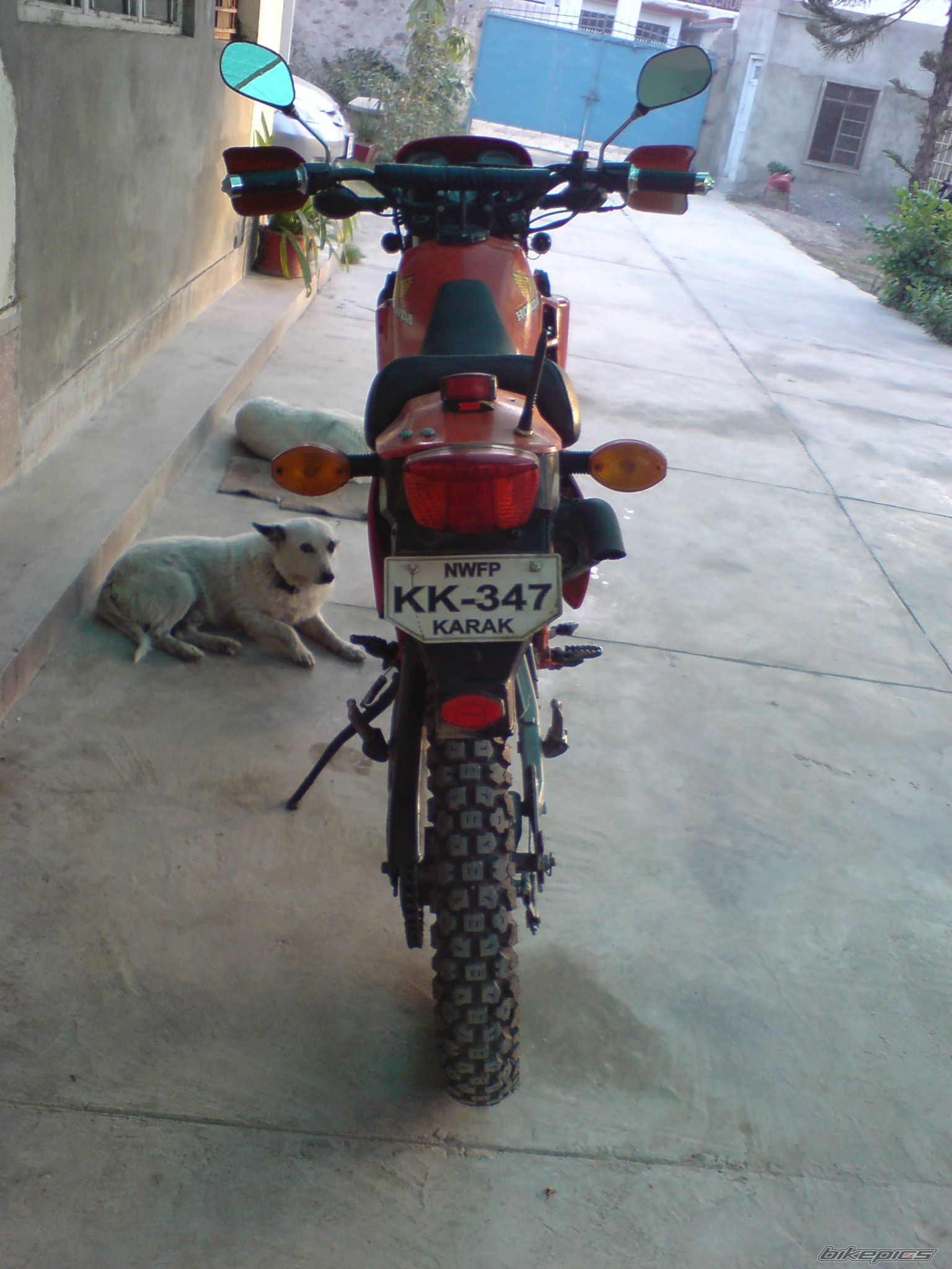 Photo 1091453