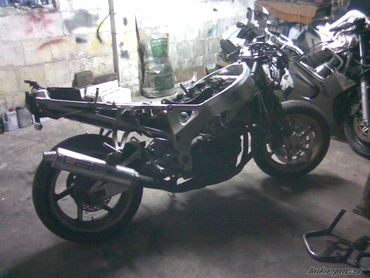 Photo 1091494