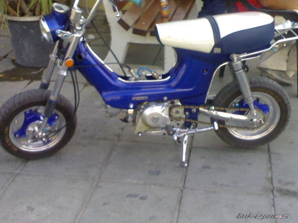 Photo 1091911