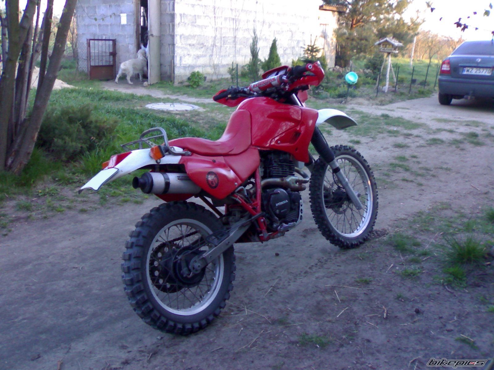 Photo 1091925