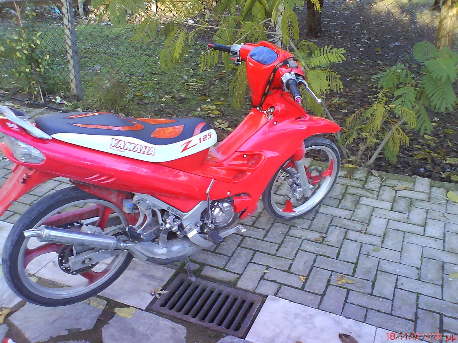 Photo 1091933