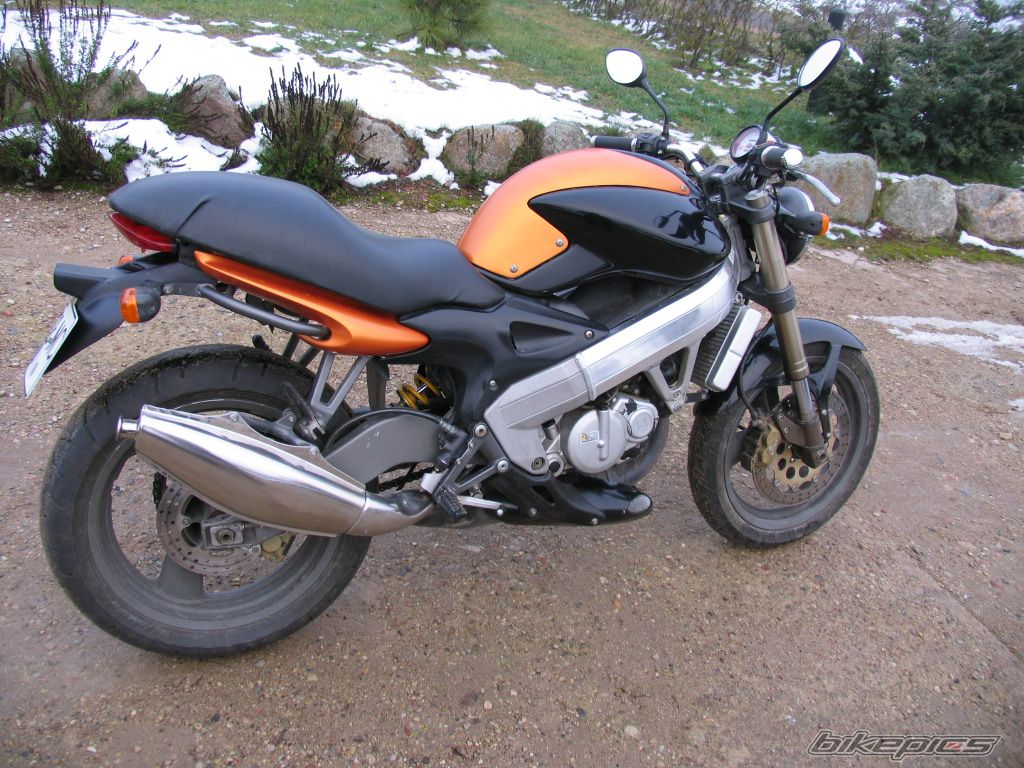 Photo 1092072