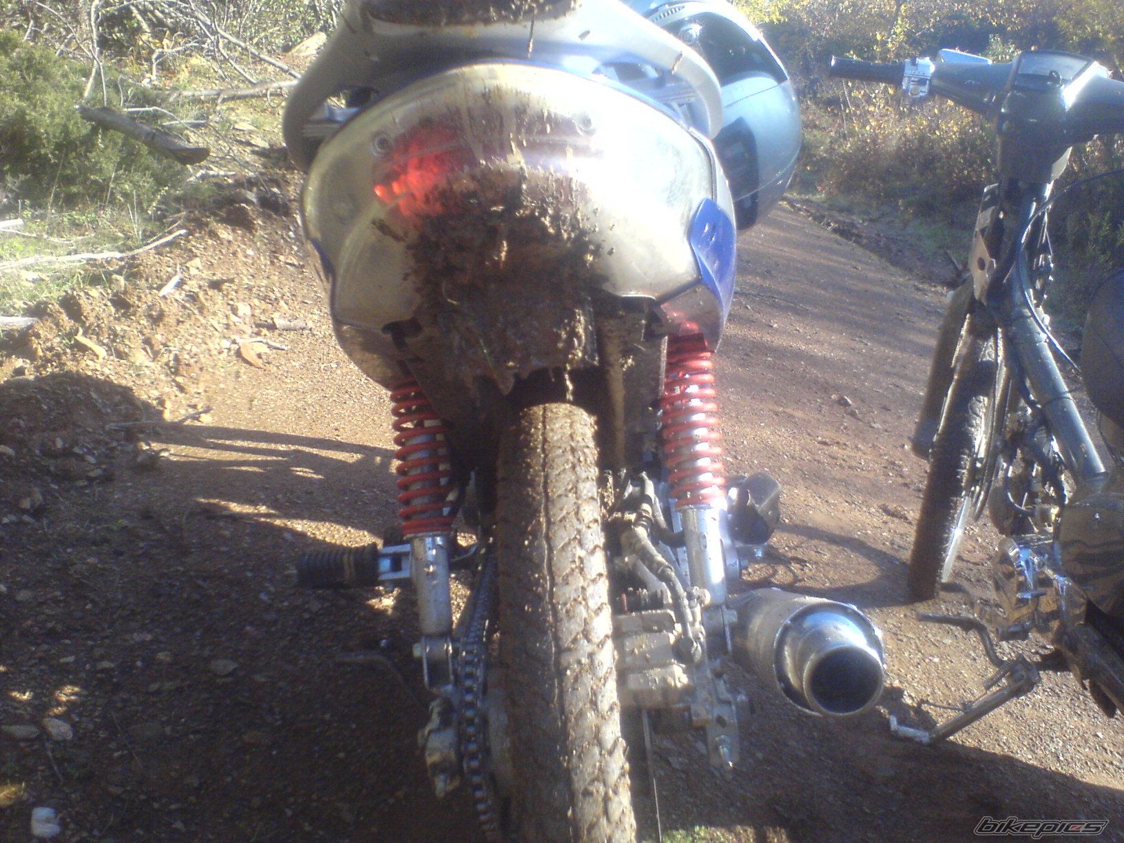 Photo 1092109