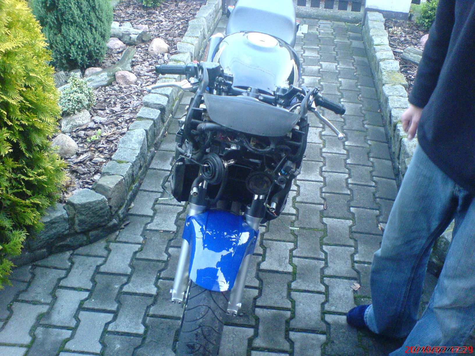 Photo 1092178