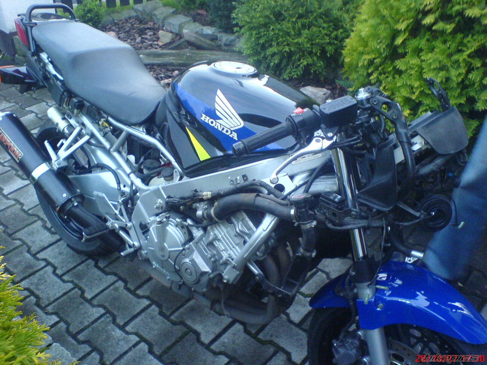 Photo 1092181