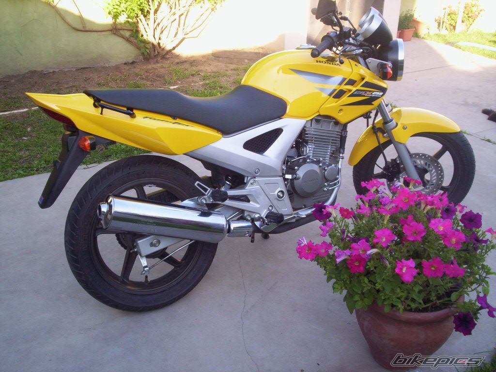 Photo 1092486