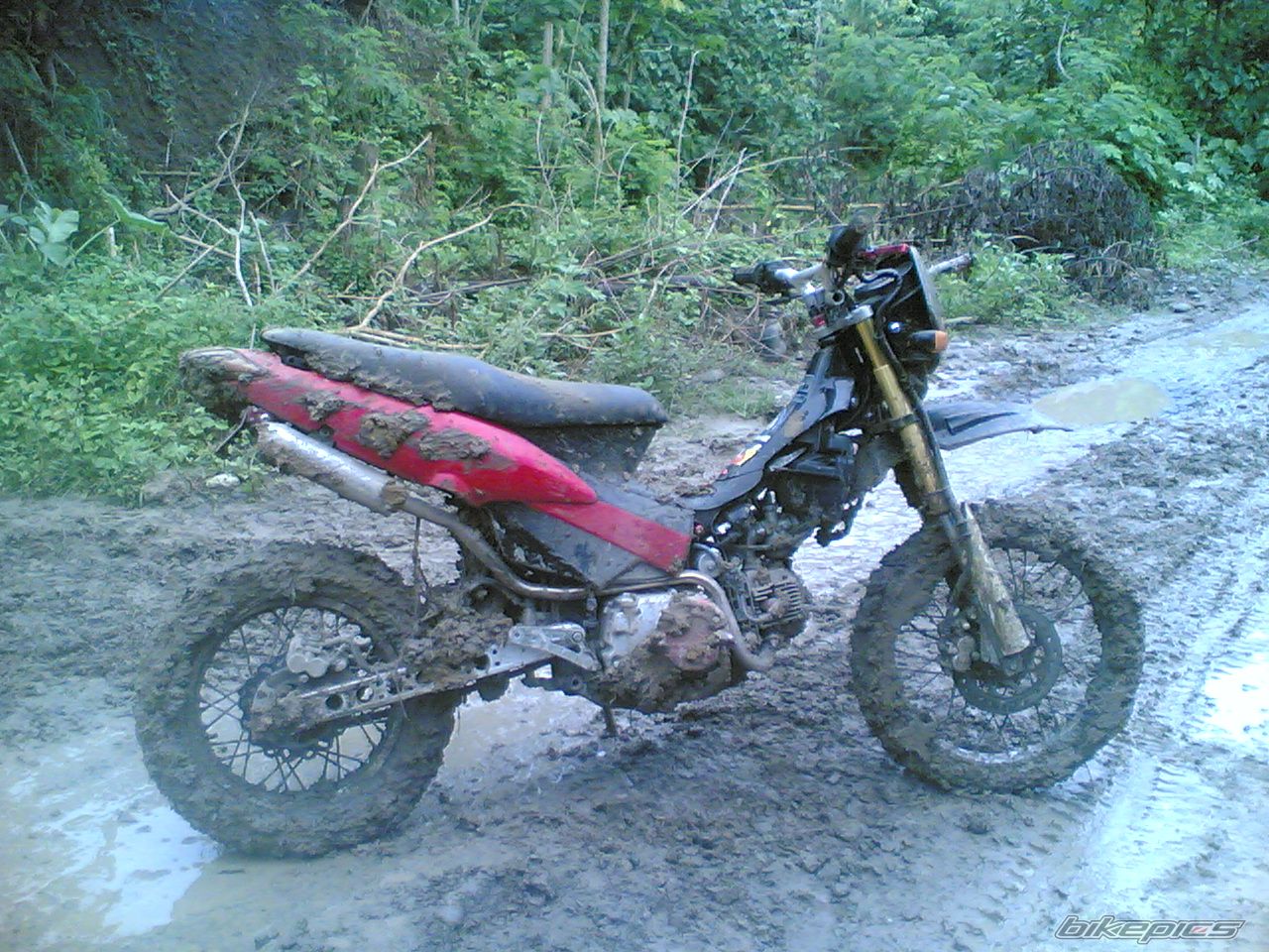 Bike Photo 1092518
