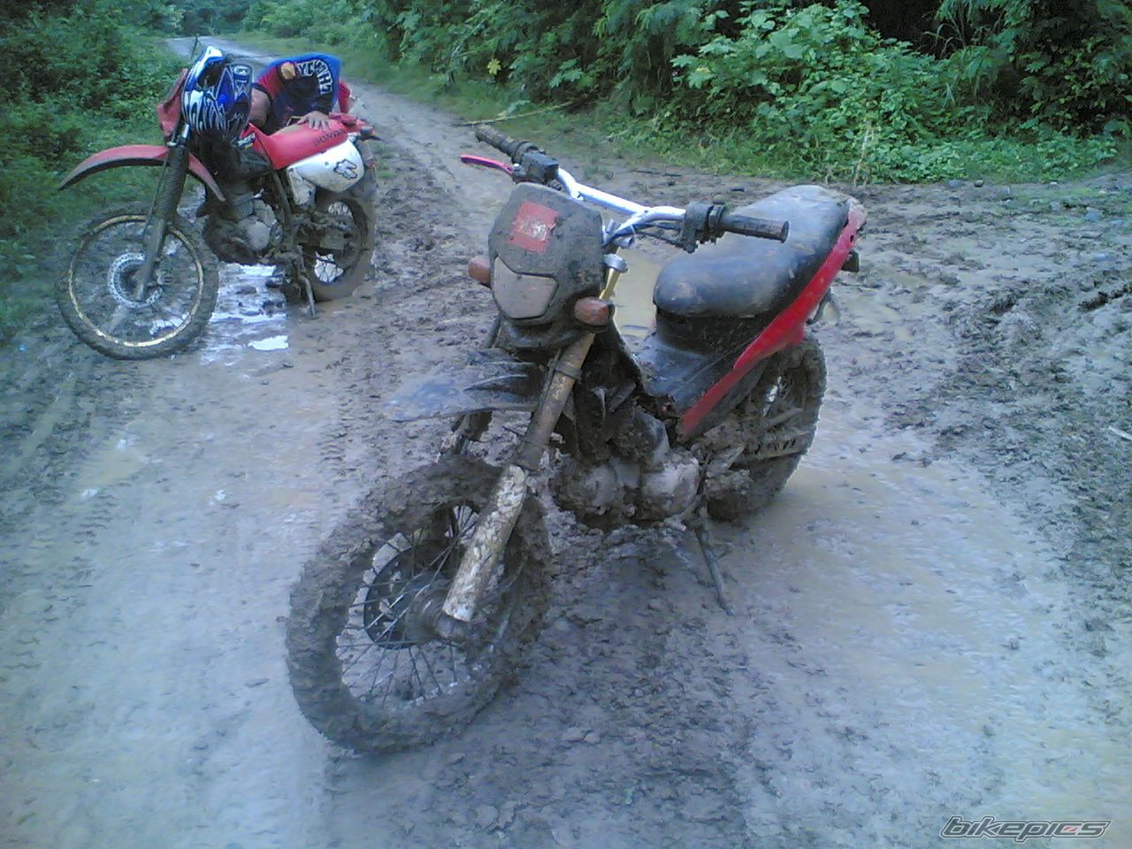Bike Photo 1092519