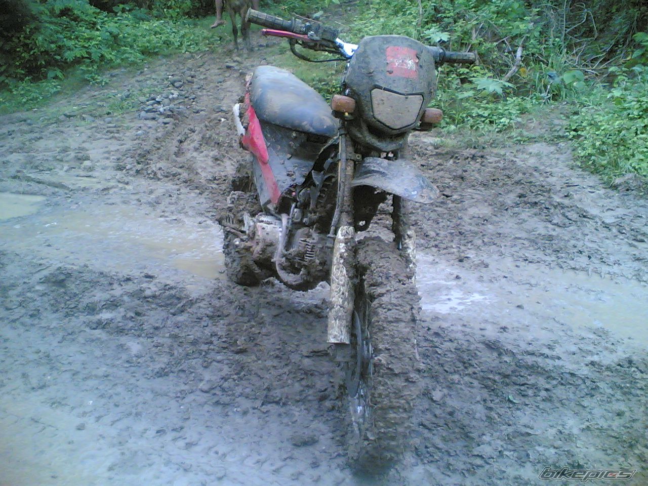 Bike Photo 1092523