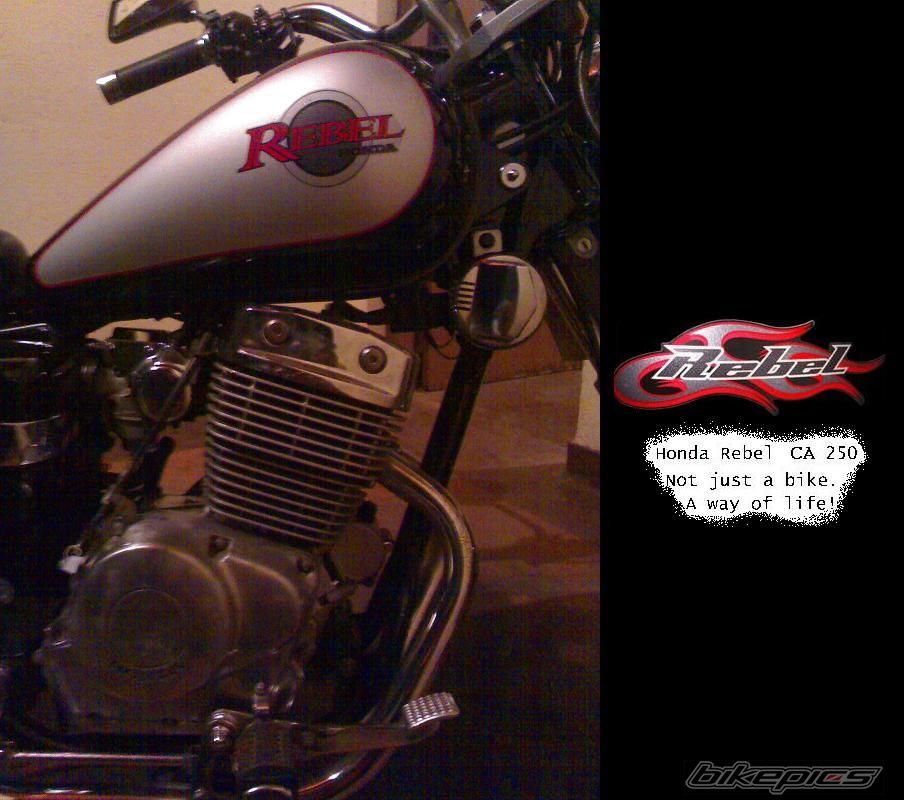 Photo 1092772