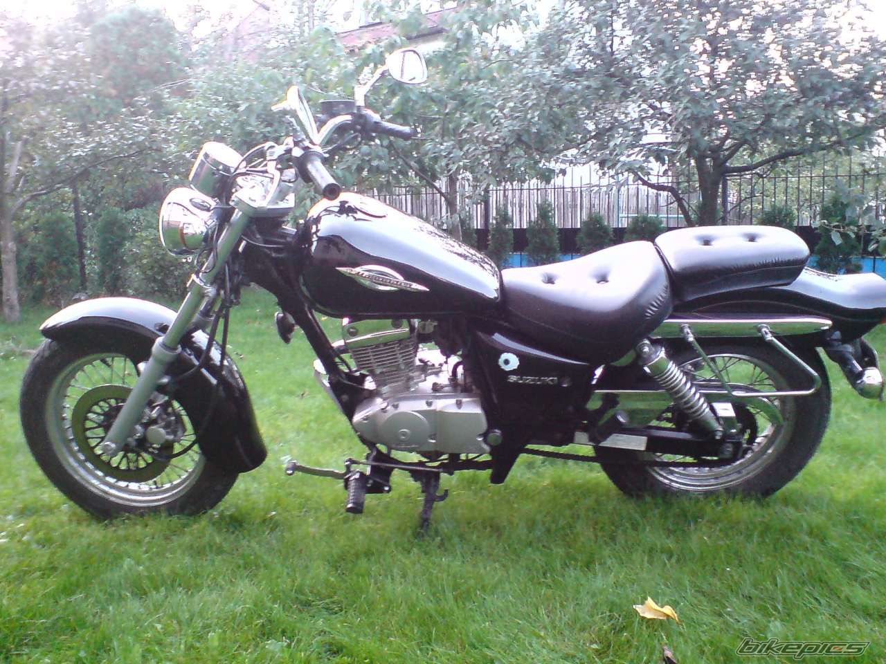 Photo 1092865