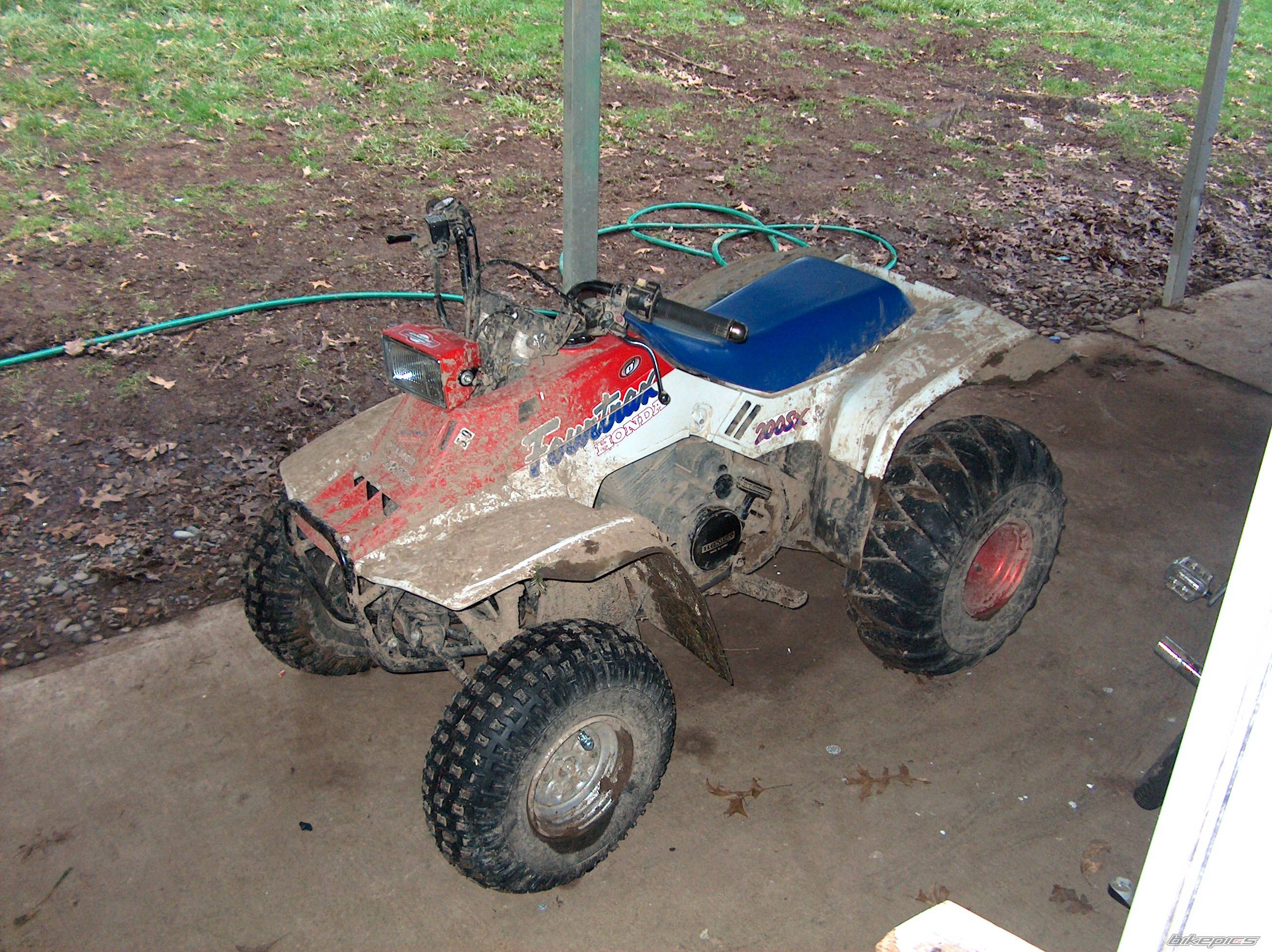 Photo 109297