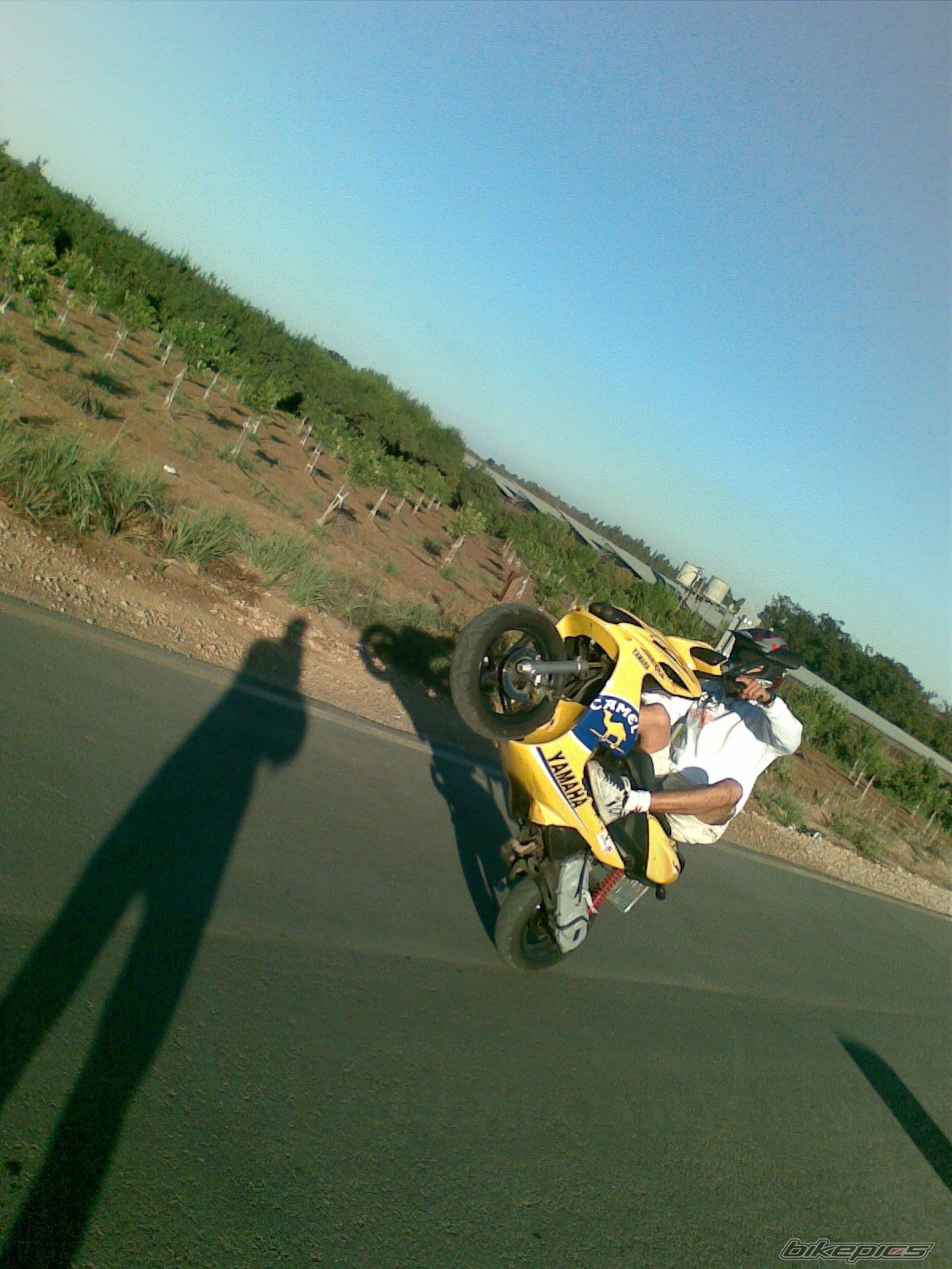 Photo 1093072