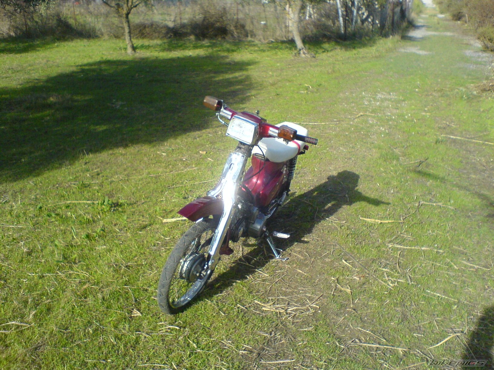 Photo 1093142