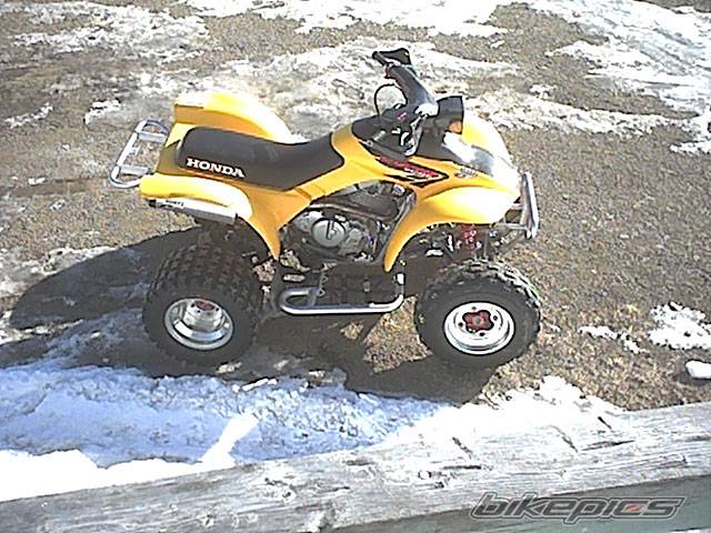 Photo 109315