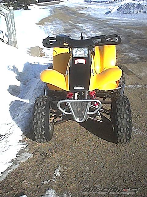 Photo 109316