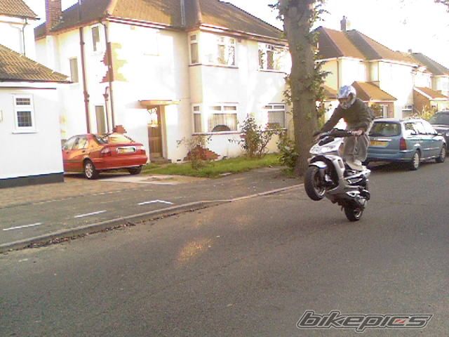 Photo 1093195