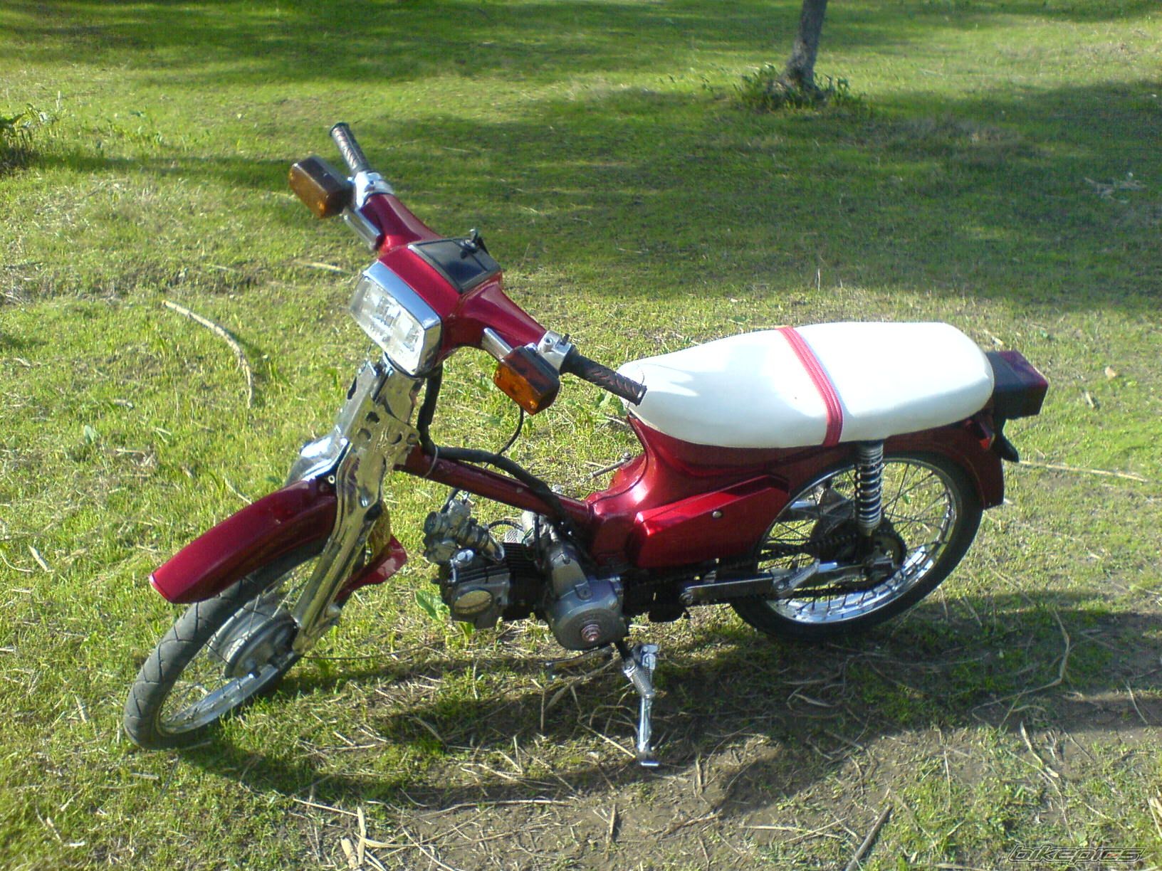 Photo 1093220
