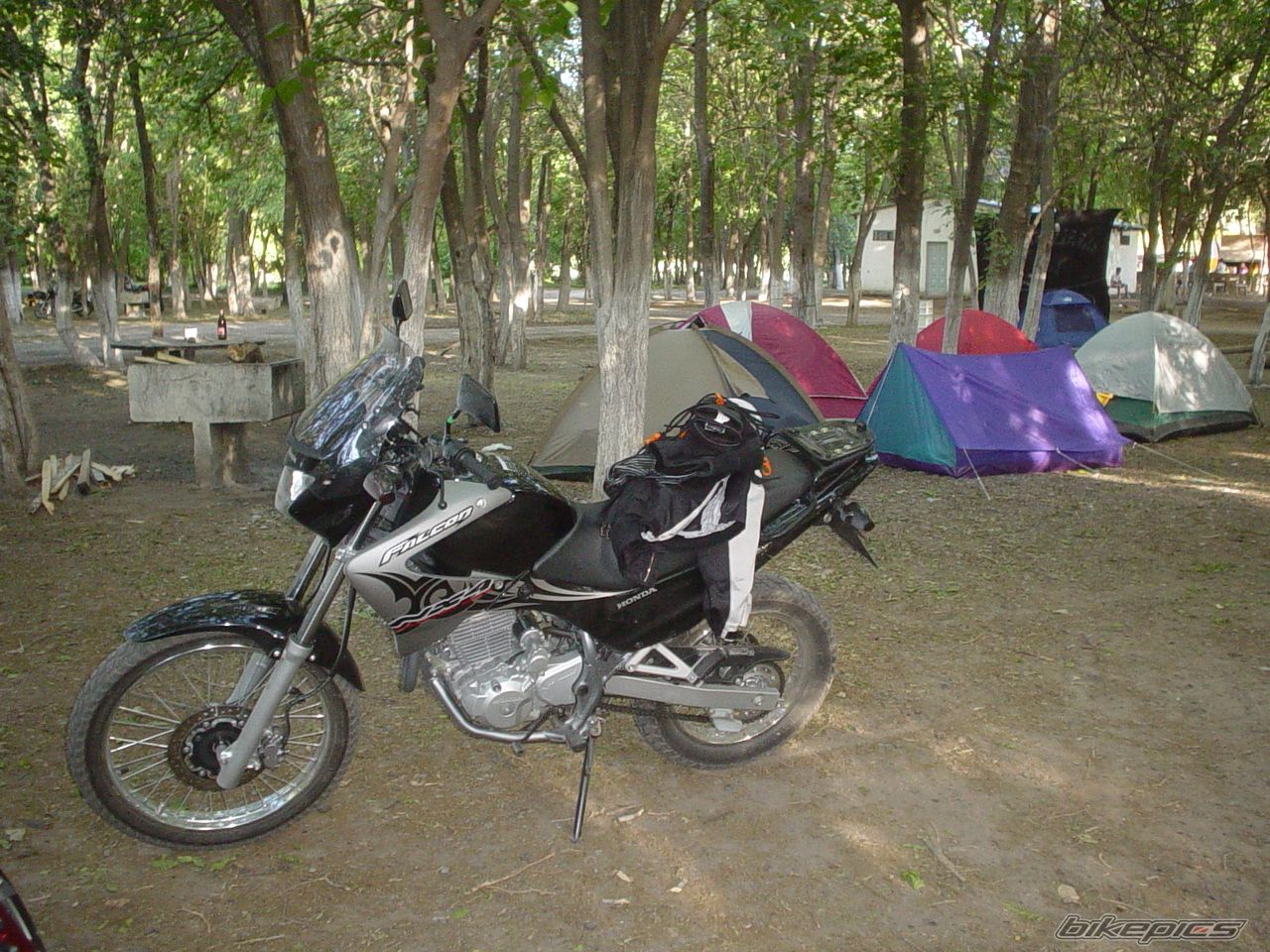 Photo 1093343
