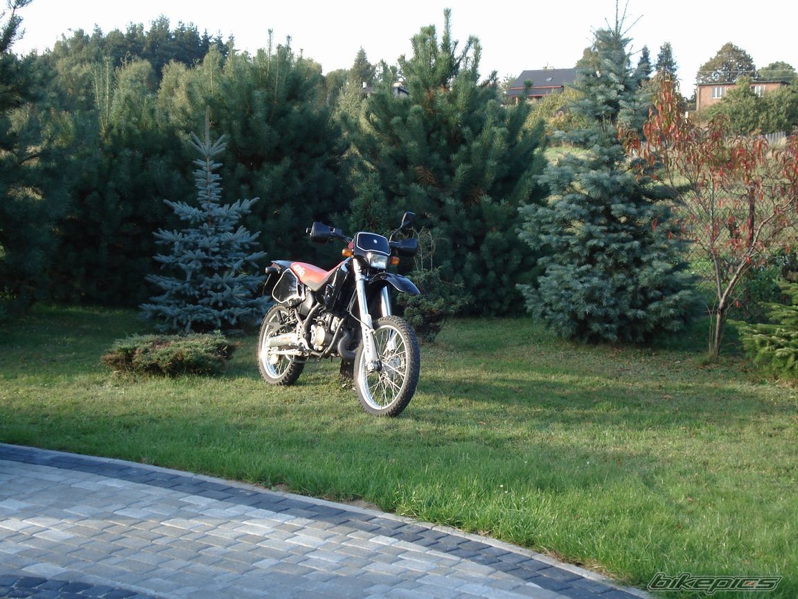 Bike Photo 1093393