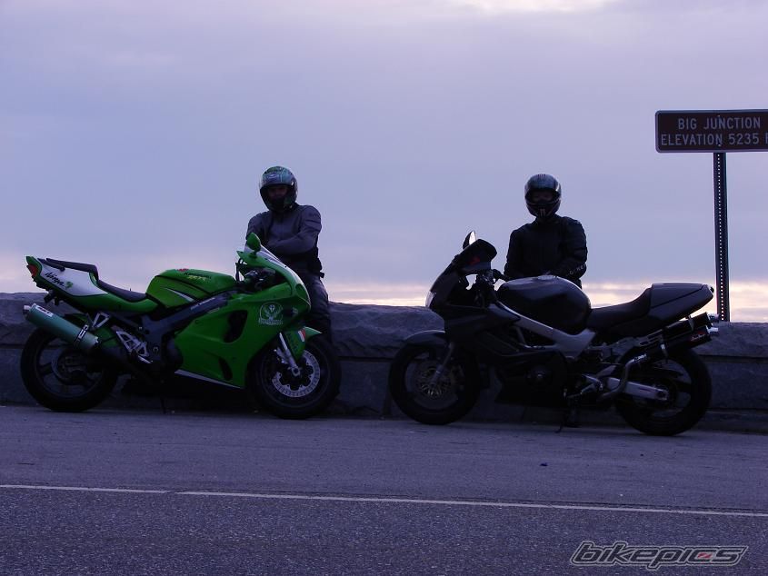 Photo 1093499