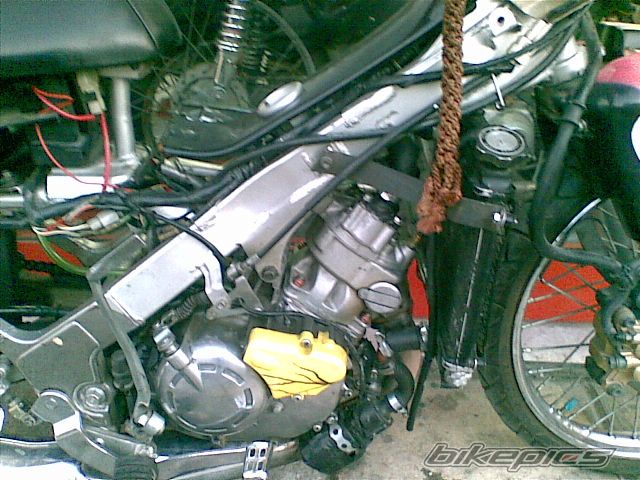 Photo 1093632