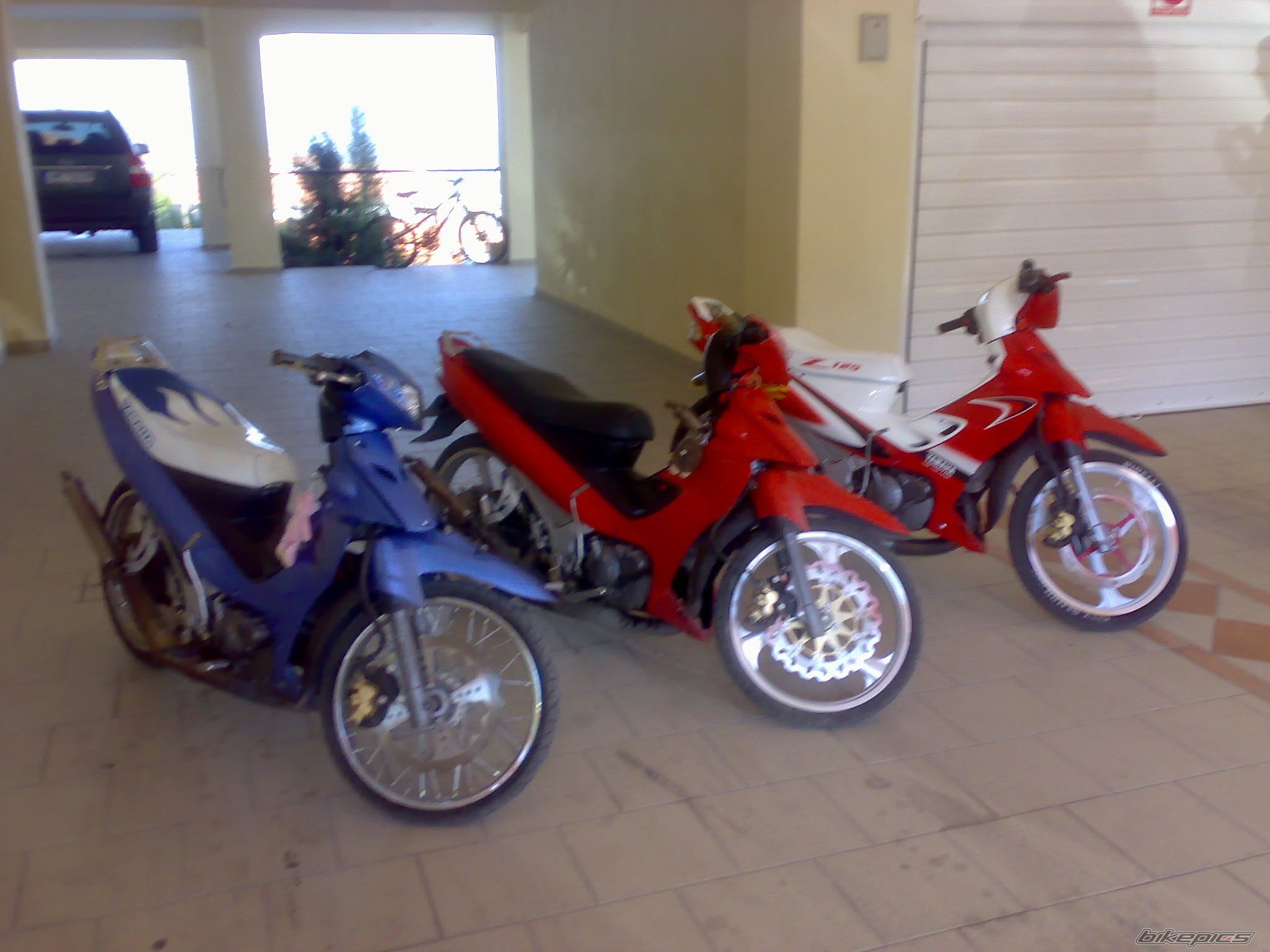 Photo 1093660