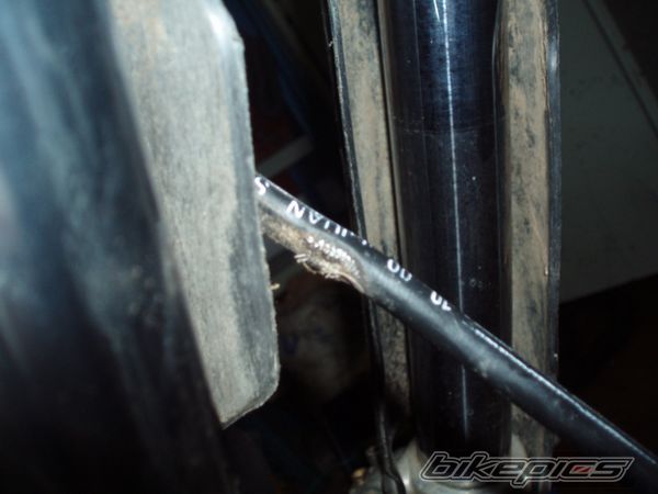 Photo 1094009