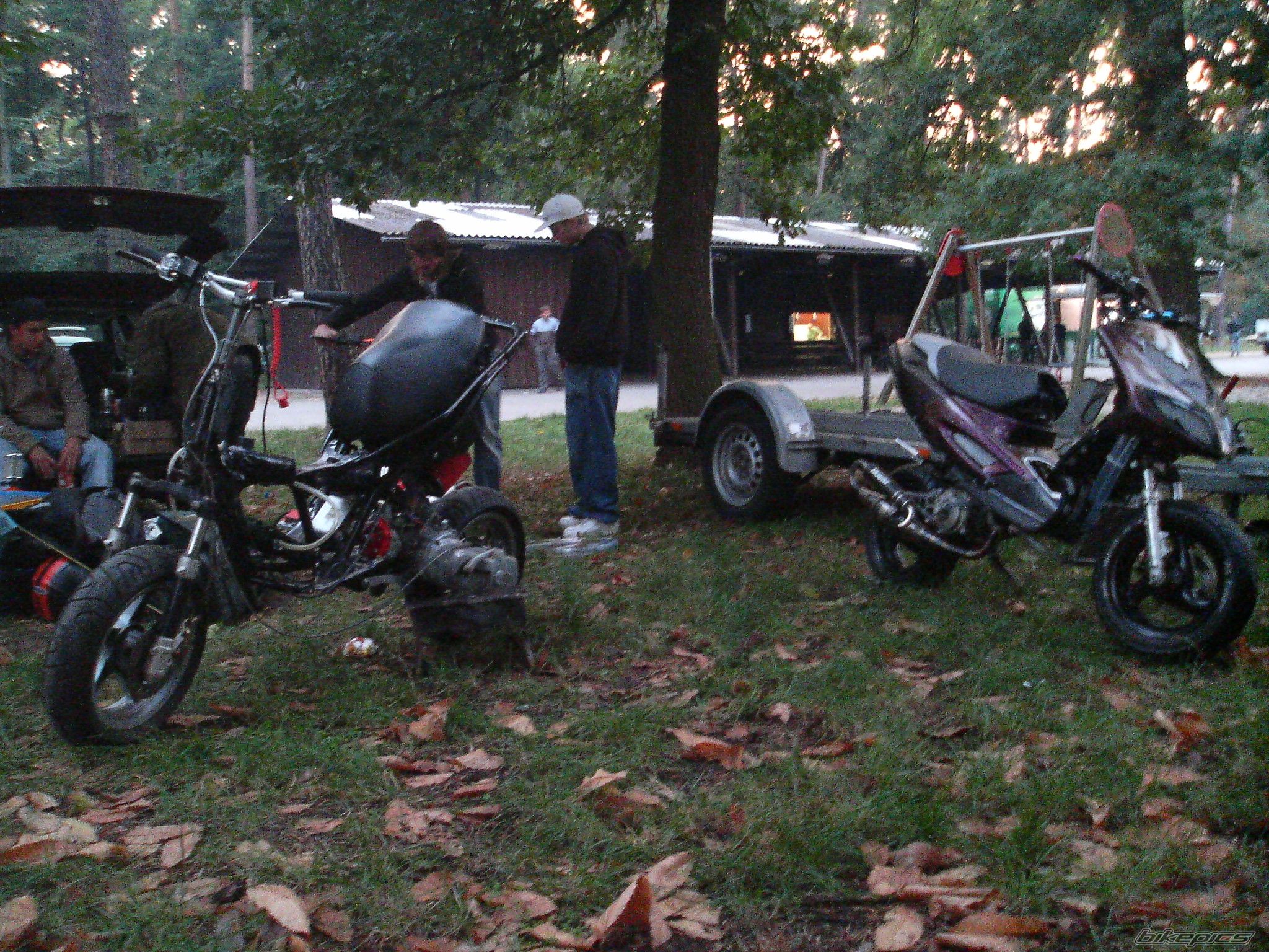 Photo 1094074