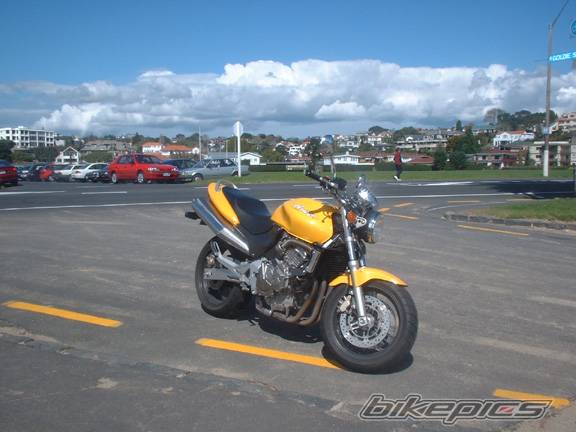 Photo 10942
