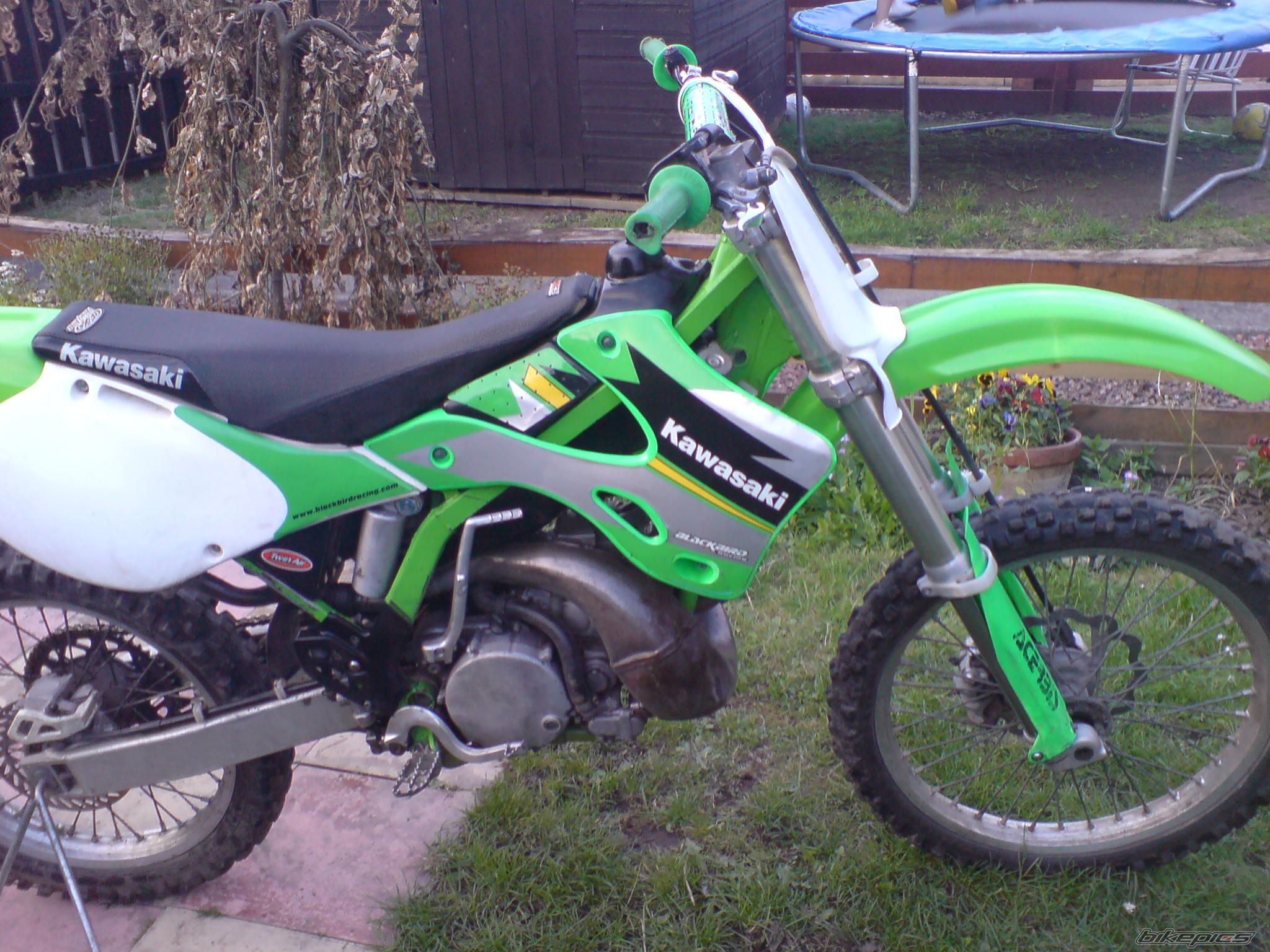 Photo 1094204