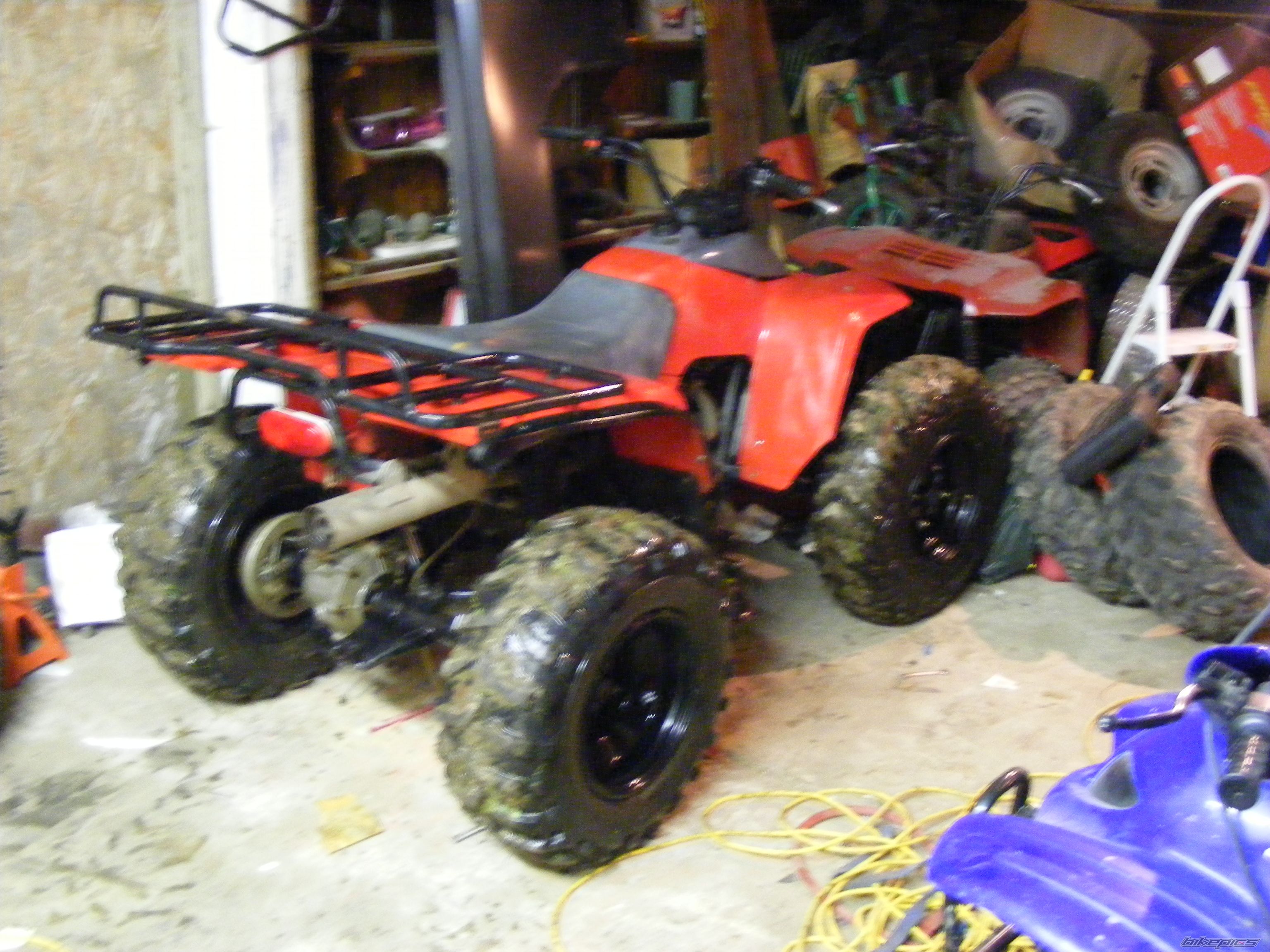 Photo 1094275