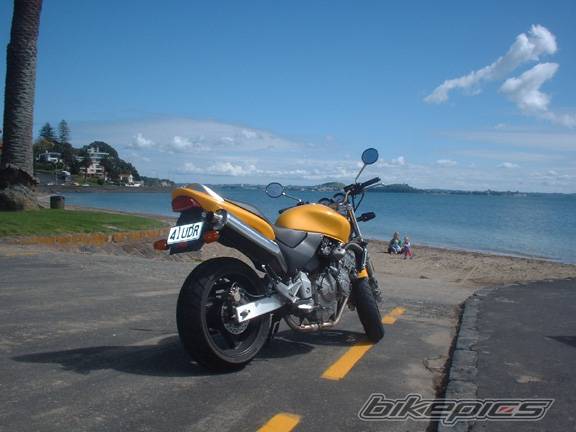 Photo 10943