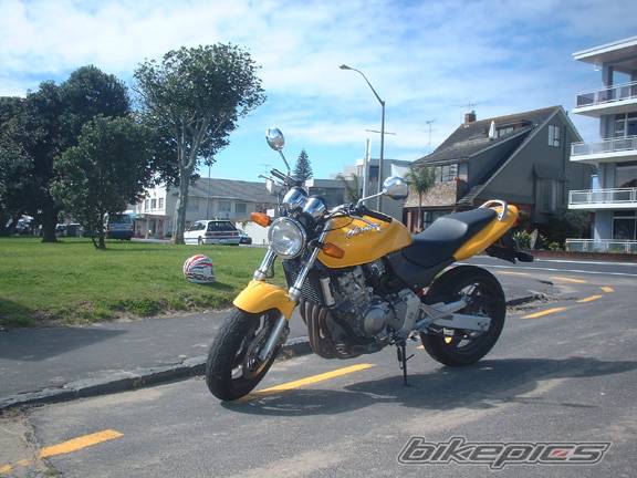 Photo 10944