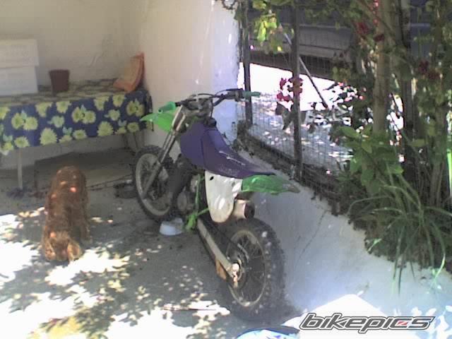 Bike Photo 1094530