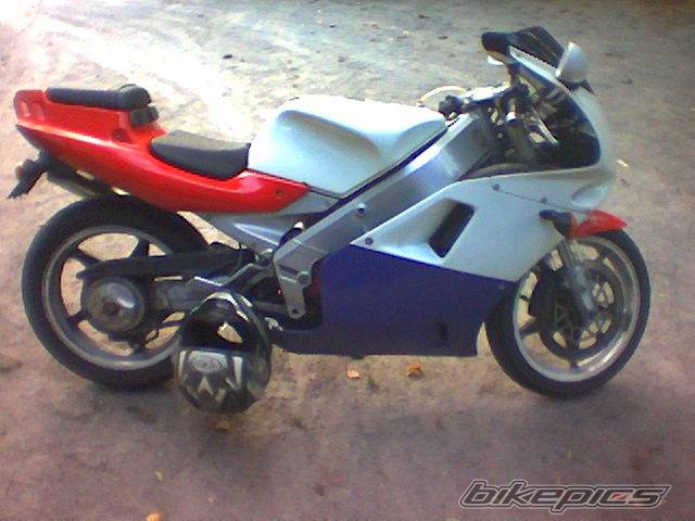 Photo 109454