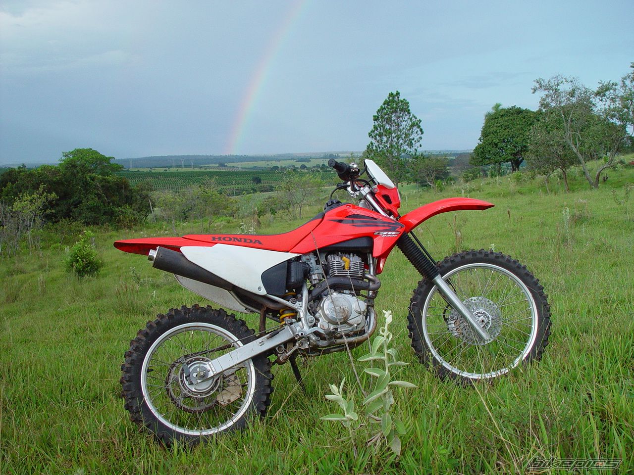 Photo 1094562