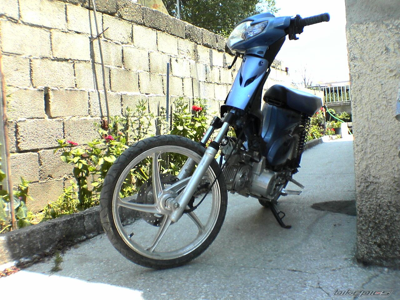 Photo 1094596