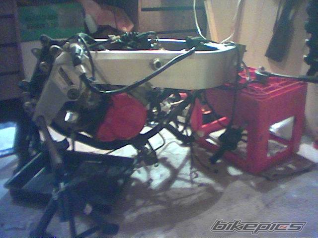 Photo 109464