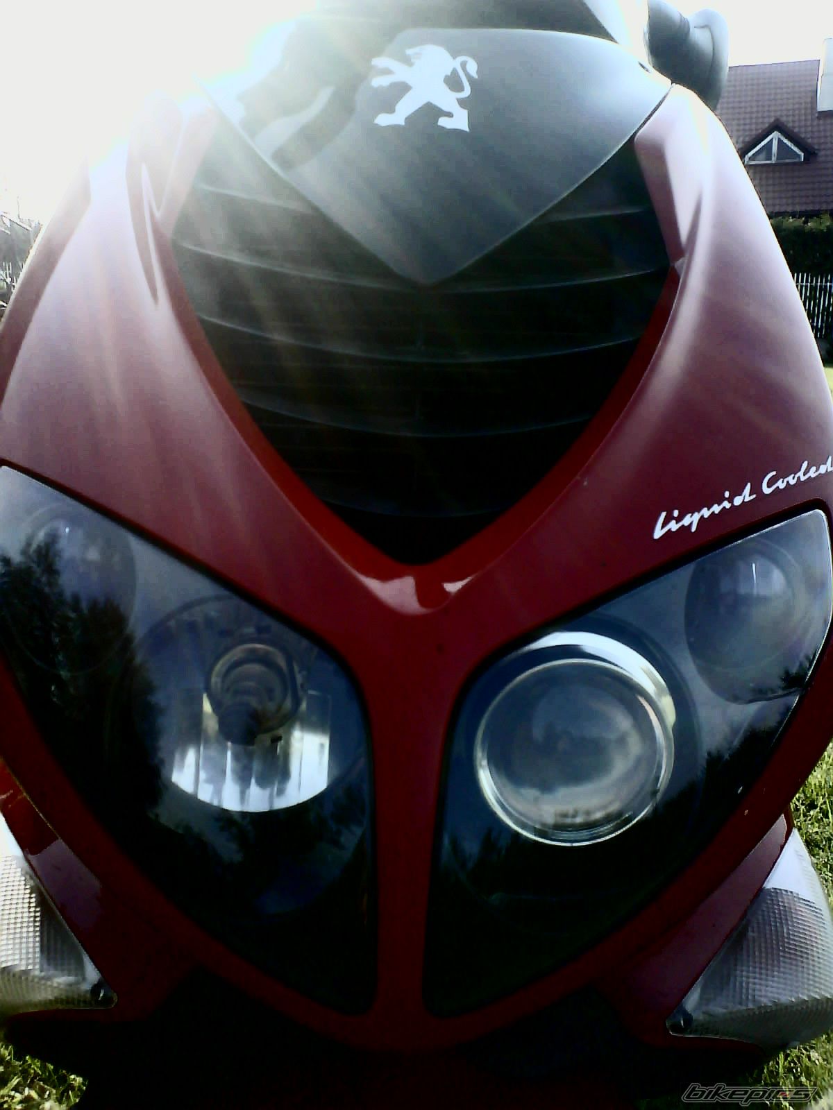 Photo 1094798