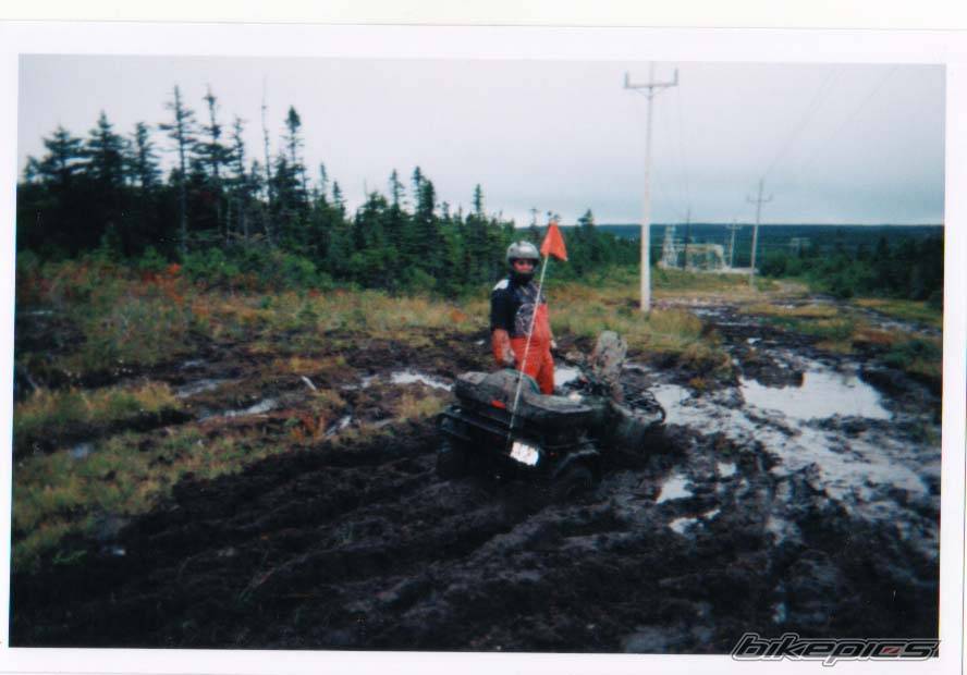 Photo 109485