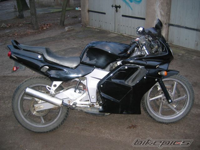 Photo 1095047