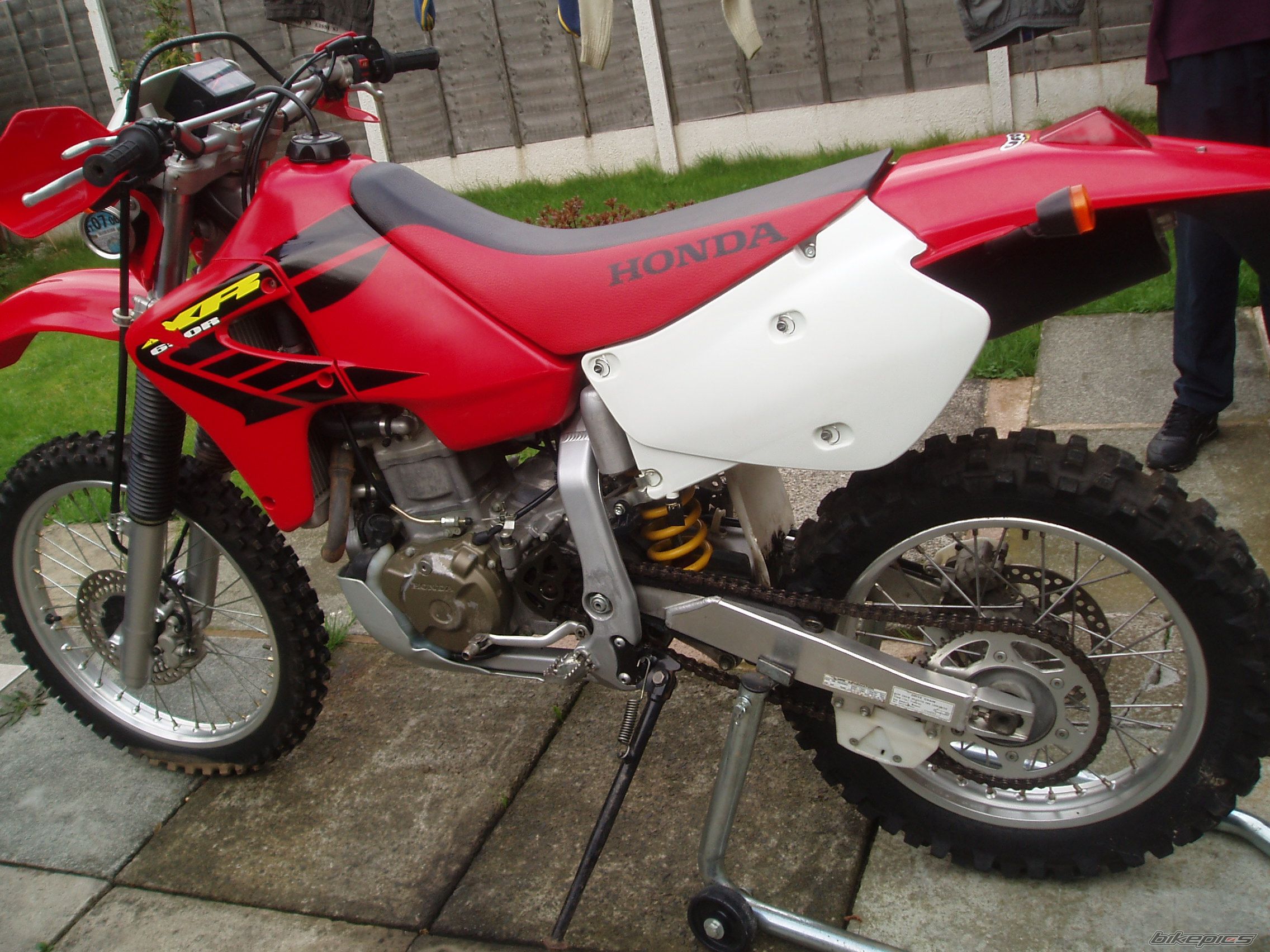 Photo 1095073